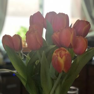 Meet your Posher, Leslie